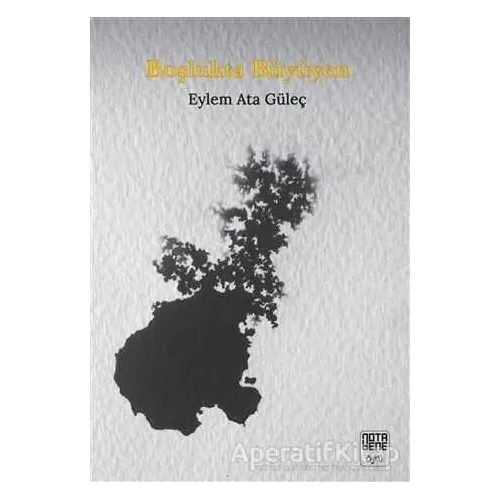 Boşlukta Büyüyen - Eylem Ata Güleç - Nota Bene Yayınları
