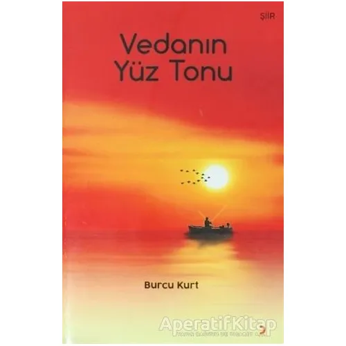 Vedanın Yüz Tonu - Burcu Kurt - Cinius Yayınları