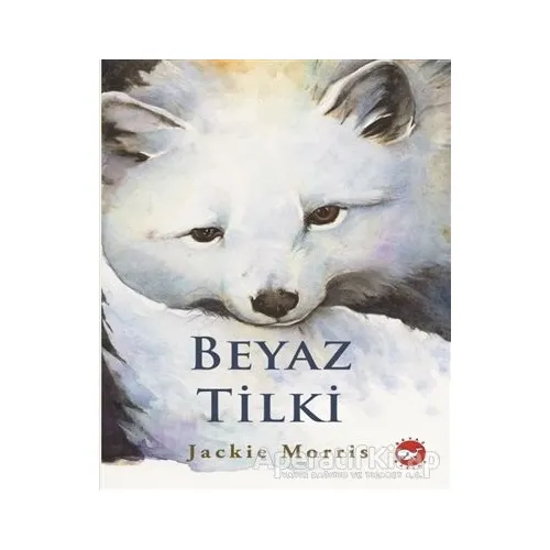 Beyaz Tilki - Jackie Morris - Beyaz Balina Yayınları