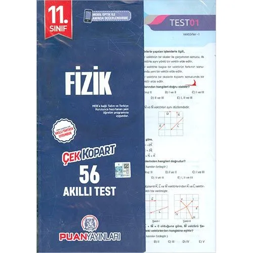 Puan 11.Sınıf Fizik Yaprak Test