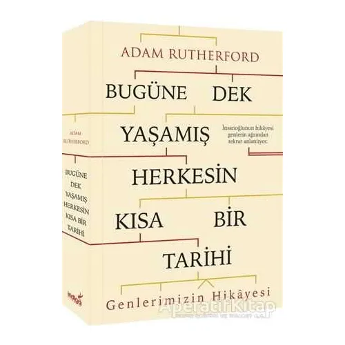 Bugüne Dek Yaşamış Herkesin Kısa Bir Tarihi (Genlerimizin Hikayesi) - Adam Rutherford - İndigo Kitap