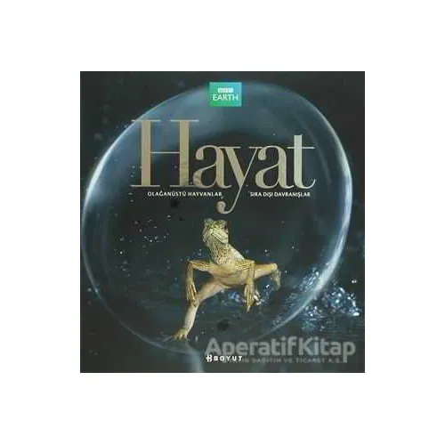 Hayat - Martha Holmes - Boyut Yayın Grubu