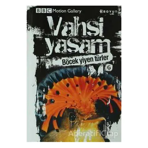 Vahşi Yaşam 2 - Böcek Yiyen Türler - Rob Hume - Boyut Yayın Grubu