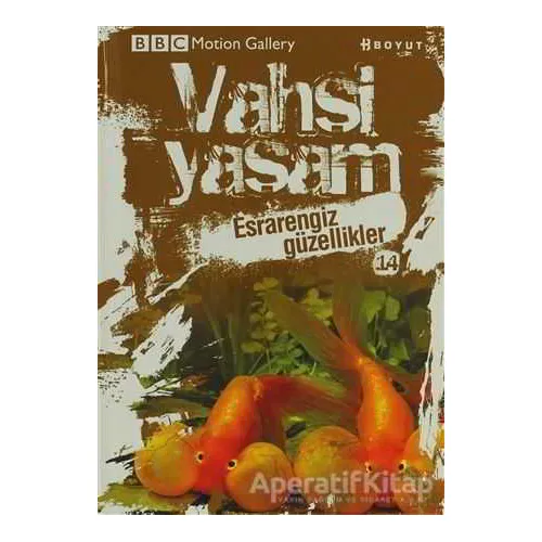Vahşi Yaşam 2 - Esrarengiz Güzellikler - Kolektif - Boyut Yayın Grubu