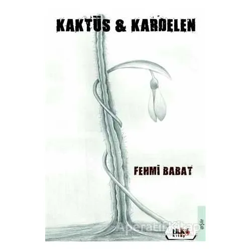 Kaktüs ve Kardelen - Fehmi Babat - Tilki Kitap
