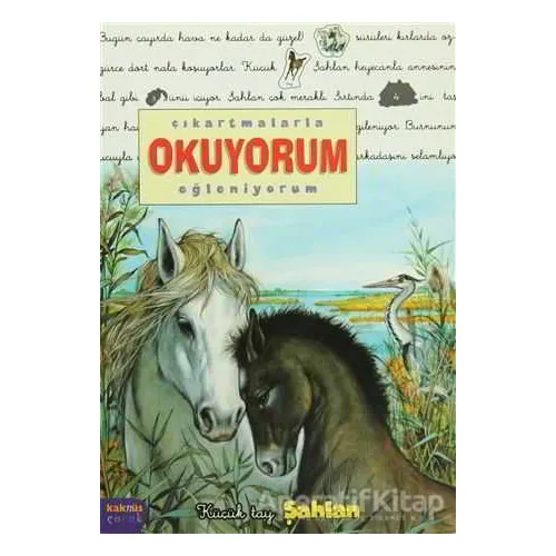 Çıkartmalarla Okuyorum Eğleniyorum -Küçük Tay Şahlan - Delphine Lacharron - Kaknüs Yayınları