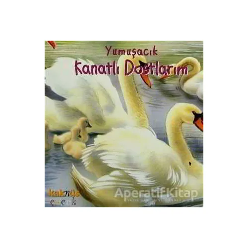 Yumuşacık Kanatlı Dostlarım - Kolektif - Kaknüs Yayınları