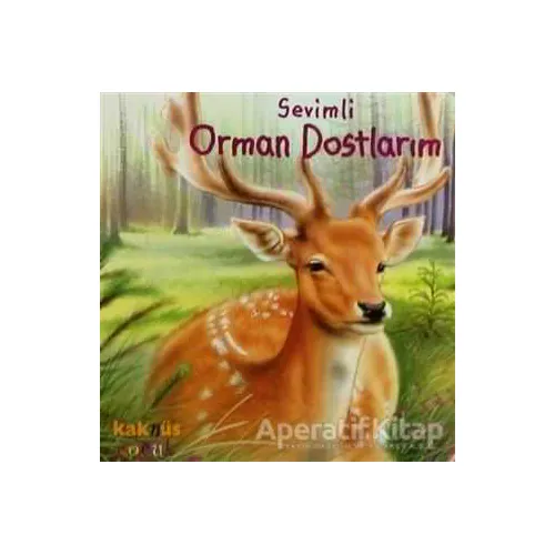 Sevimli Orman Dostlarım - Kolektif - Kaknüs Yayınları