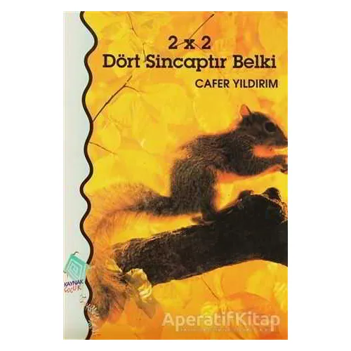 2 x 2 Dört Sincaptır Belki - Cafer Yıldırım - Kaynak Çocuk Yayınları
