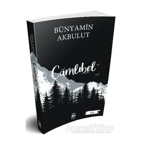 Çamlıbel - Bünyamin Akbulut - 5 Şubat Yayınları