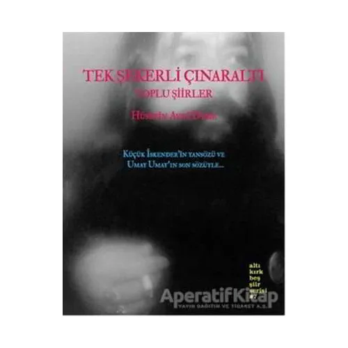 Tek Şekerli Çınaraltı - Hüseyin Avni Dede - Altıkırkbeş Yayınları