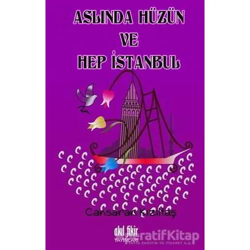 Aslında Hüzün ve Hep İstanbul - Cansaran Kızıltaş - Akıl Fikir Yayınları