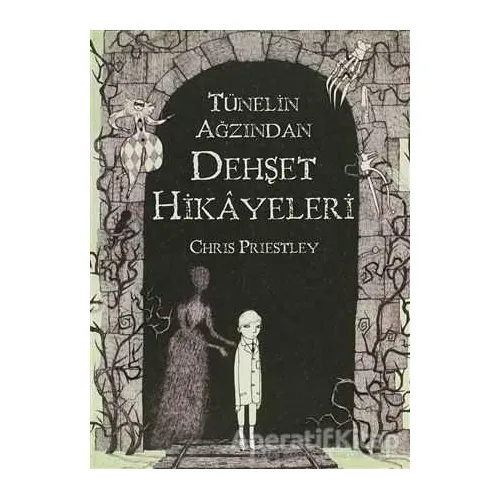 Tünelin Ağzından Dehşet Hikayeleri - Chris Priestley - Tudem Yayınları