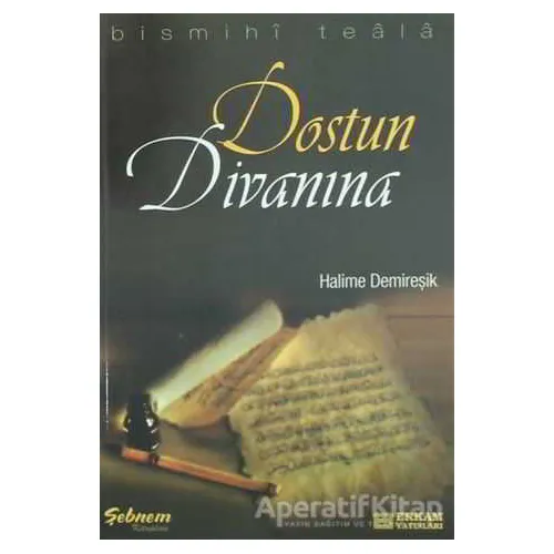 Dostun Divanına - Halime Demireşik - Erkam Yayınları