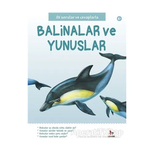 İlk Sorular ve Cevaplarla: Balinalar ve Yunuslar - Belinda Gallagher - Almidilli