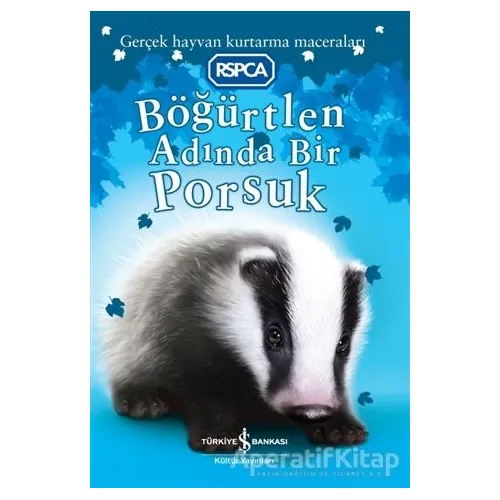 Böğürtlen Adında Bir Porsuk - Sarah Hawkins - İş Bankası Kültür Yayınları