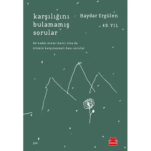 Karşılığını Bulamamış Sorular - Haydar Ergülen - Kırmızı Kedi Yayınevi