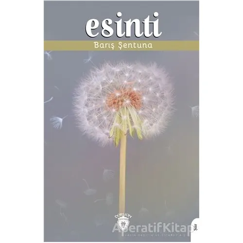 Esinti - Barış Şentuna - Dorlion Yayınları