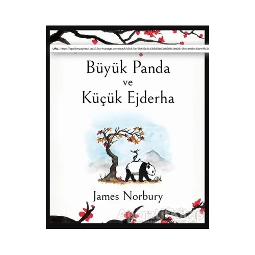 Büyük Panda ve Küçük Ejderha (Ciltli) - James Norbury - Epsilon Yayınevi