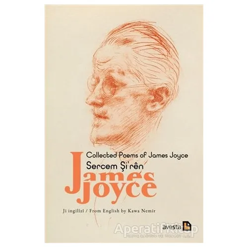 Collected Poems Of James Joyce - Sercem Şiren James Joyce - Kawa Nemir - Avesta Yayınları