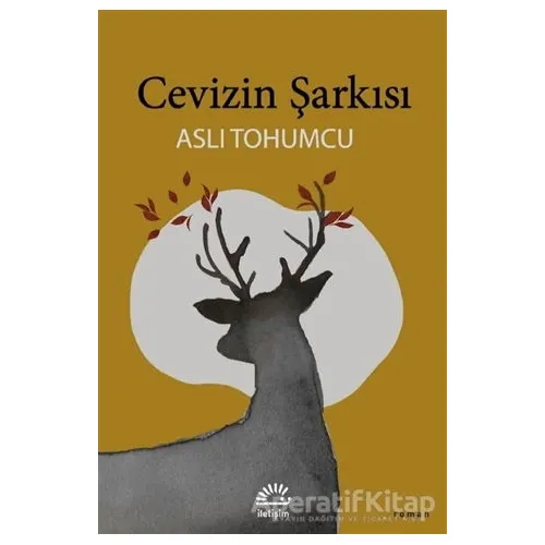 Cevizin Şarkısı - Aslı Tohumcu - İletişim Yayınevi