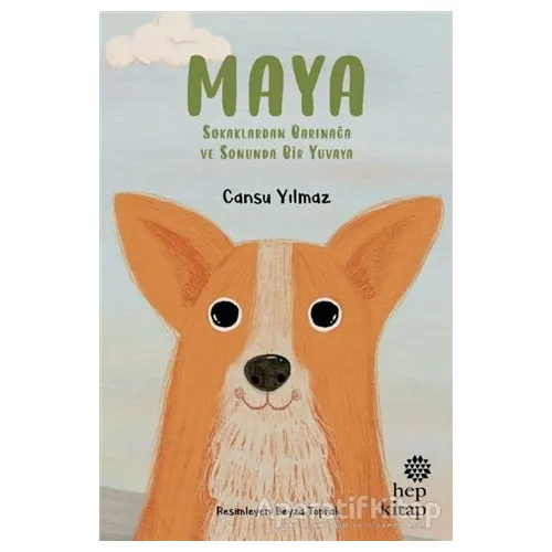 Maya - Sokaklardan Barınağa ve Sonunda Bir Yuvaya - Cansu Yılmaz - Hep Kitap