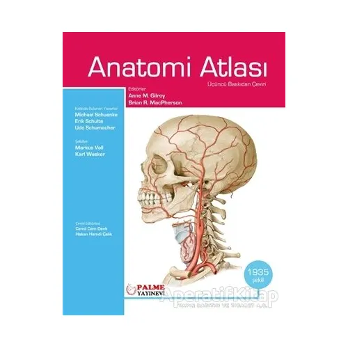 Anatomi Atlası Gilroy - Kolektif - Palme Yayıncılık
