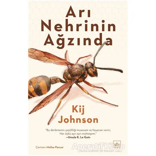 Arı Nehrinin Ağzında - Kij Johnson - İthaki Yayınları