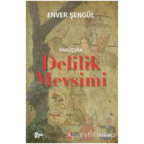 Darüşşifa - Delilik Mevsimi - Enver Şengül - Puslu Yayıncılık