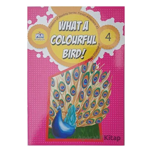 What a Colourful Bird ! - 4 - Kolektif - Polat Kitapçılık