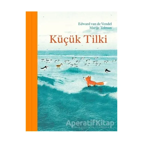 Küçük Tilki - Edward Van De Vendel - MEAV Yayıncılık