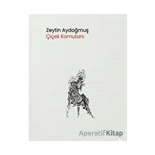 Çiçek Komutanı - Zeytin Aydoğmuş - Pikaresk Yayınevi