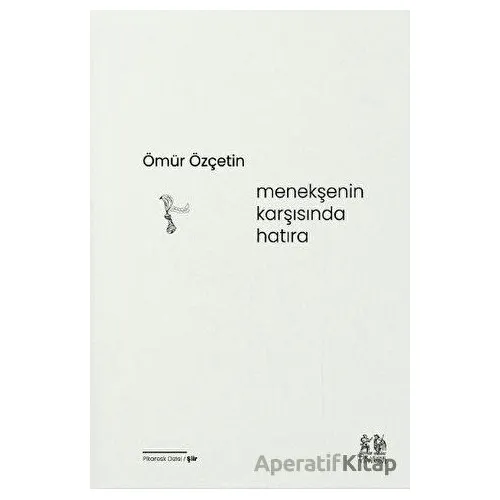 Menekşenin Karşısında Hatıra - Ömür Özçetin - Pikaresk Yayınevi