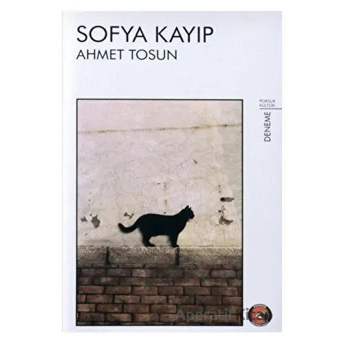 Sofya Kayıp - Ahmet Tosun - Porsuk Kültür Yayıncılık
