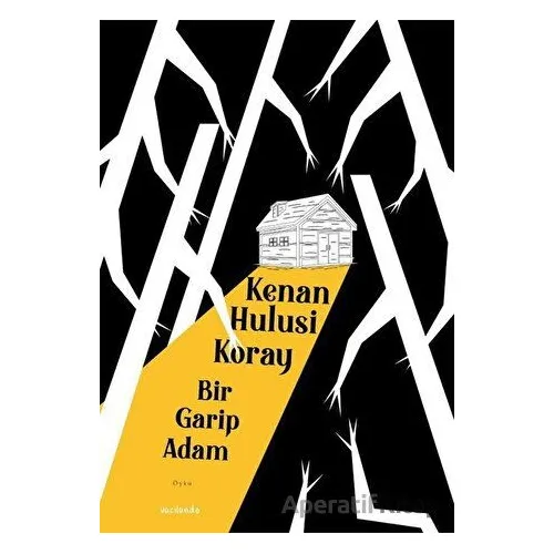 Bir Garip Adam - Kenan Hulusi Koray - Vacilando Kitap