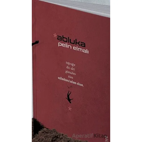 Abluka - Pelin Elmalı - Klaros Yayınları