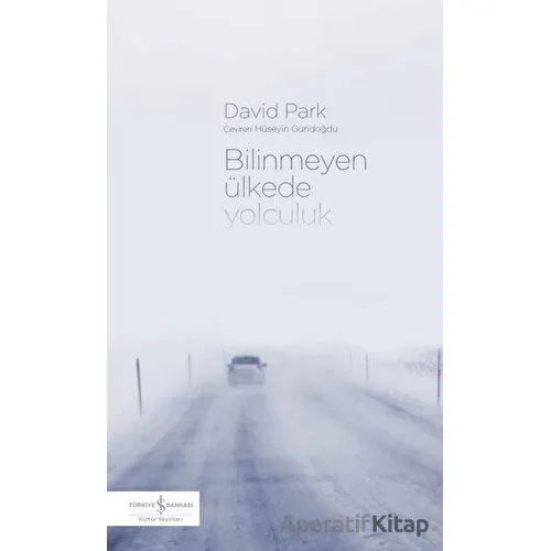 Bilinmeyen Ülkede Yolculuk - David Park - İş Bankası Kültür Yayınları
