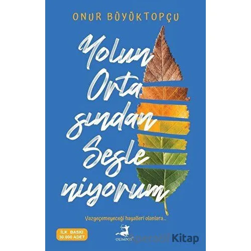 Yolun Ortasından Sesleniyorum - Onur Büyüktopçu - Olimpos Yayınları