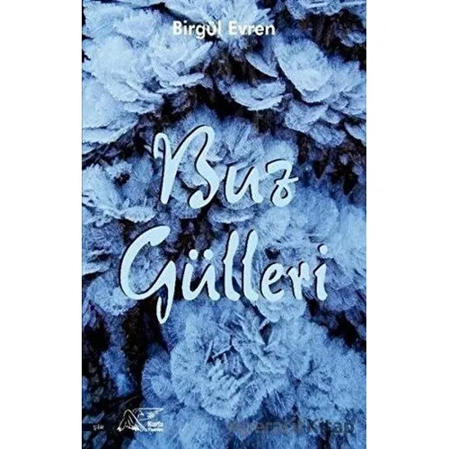 Buz Gülleri - Birgül Evren - Kuytu Yayınları