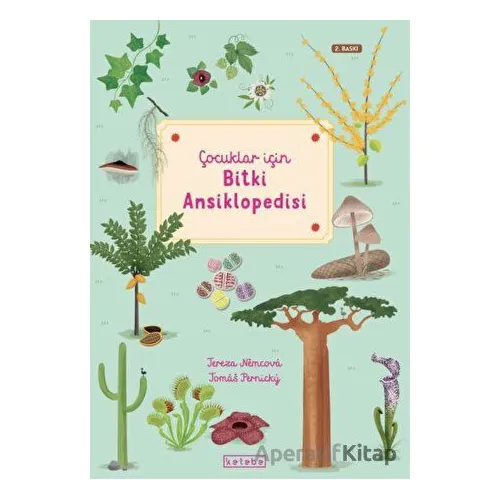 Çocuklar İçin Bitki Ansiklopedisi - Tereza Nemcova - Ketebe Çocuk