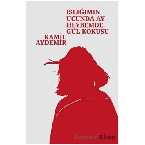 Islığımın Ucunda Ay Heybemde Gül Kokusu - Kamil Aydemir - Klaros Yayınları