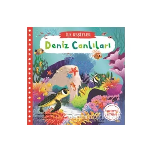 Deniz Canlıları - Kolektif - İş Bankası Kültür Yayınları