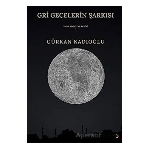 Gri Gecelerin Şarkısı - Gürkan Kadıoğlu - Cinius Yayınları