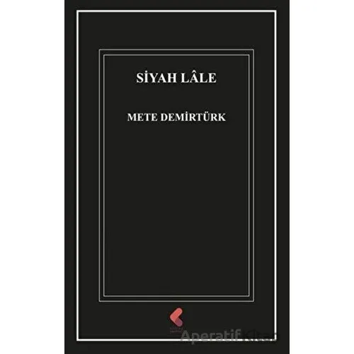 Siyah Lale - Mete Demirtürk - Klaros Yayınları
