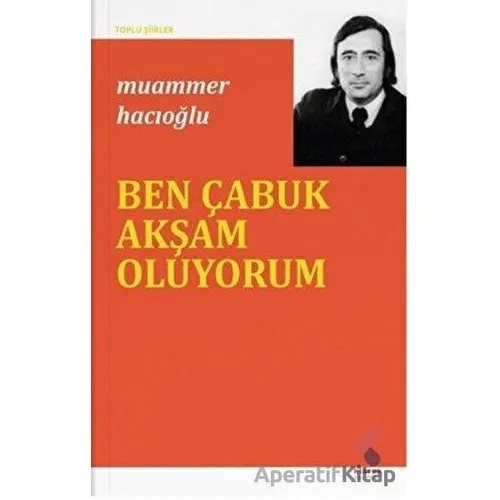 Ben Çabuk Akşam Oluyorum - Muammer Hacıoğlu - Klaros Yayınları