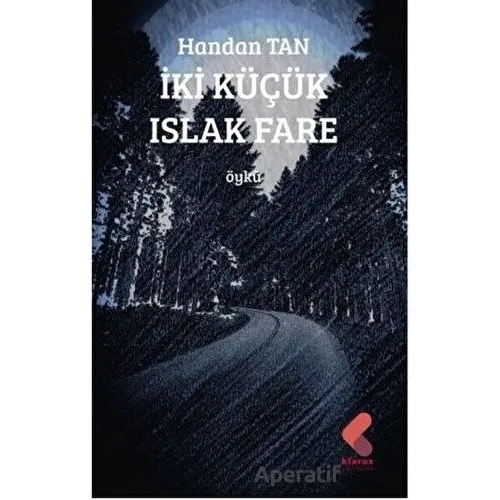 İki Küçük Islak Fare - Handan Tan - Klaros Yayınları