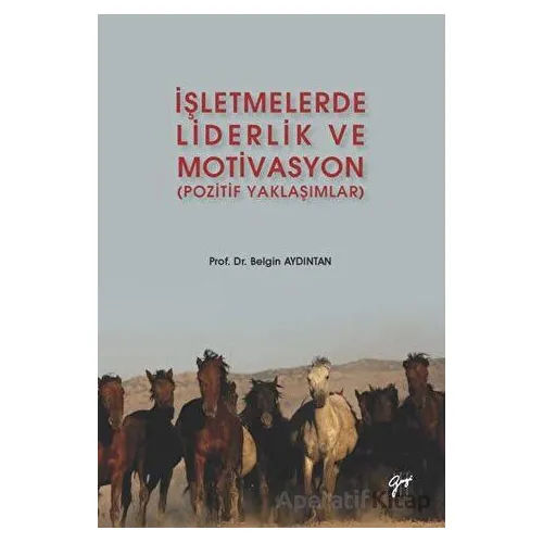 İşletmelerde Liderlik ve Motivasyon - Belgin Aydıntan - Gazi Kitabevi