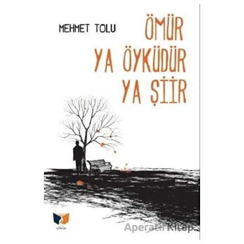 Ömür Ya Öyküdür Ya Şiir - Mehmet Tolu - Ateş Yayınları
