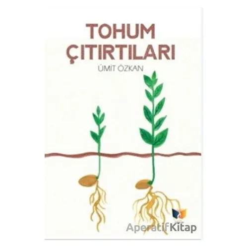 Tohum Çıtırtıları - Ümit Özkan - Ateş Yayınları