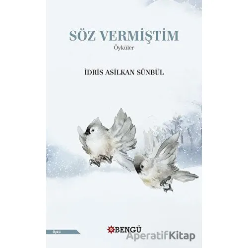 Söz Vermiştim - İdris Asilkan Sünbül - Bengü Yayınları